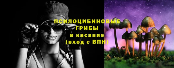 гашик Бородино