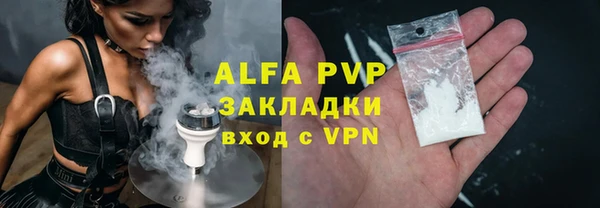 гашик Бородино