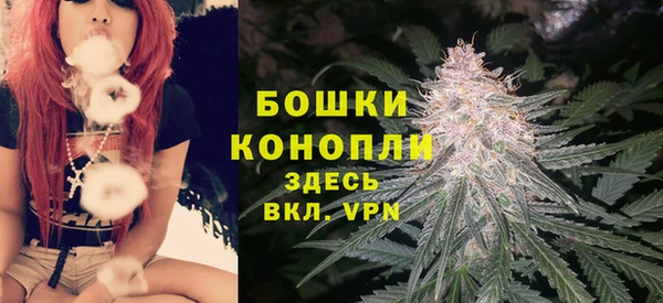 стаф Бронницы