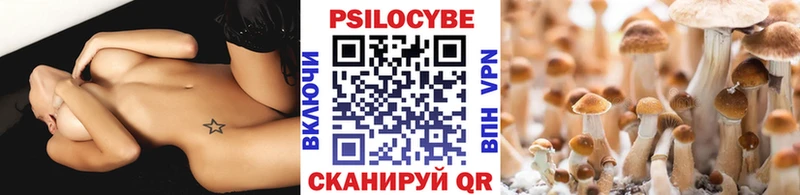 blacksprut сайт  Вятские Поляны  Псилоцибиновые грибы GOLDEN TEACHER  дарнет шоп 