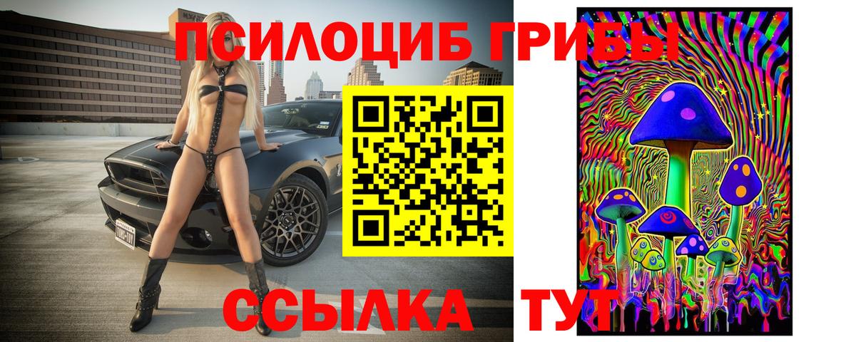 Вятские Поляны  Псилоцибиновые грибы Psilocybine cubensis  Вход с VPN 